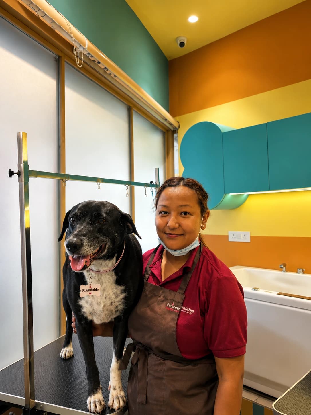 A relaxed dog with a Pawmiable groomer after a session in Gurgaon